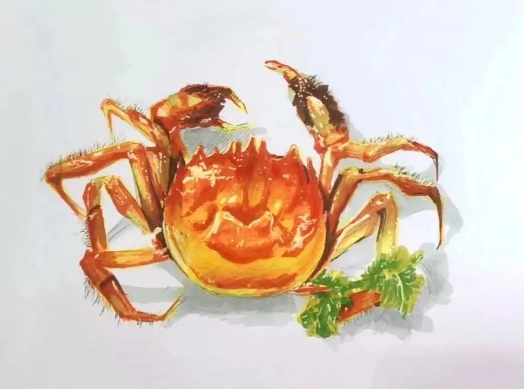 深圳中考美术自主招生培训：打造艺术之都的摇篮