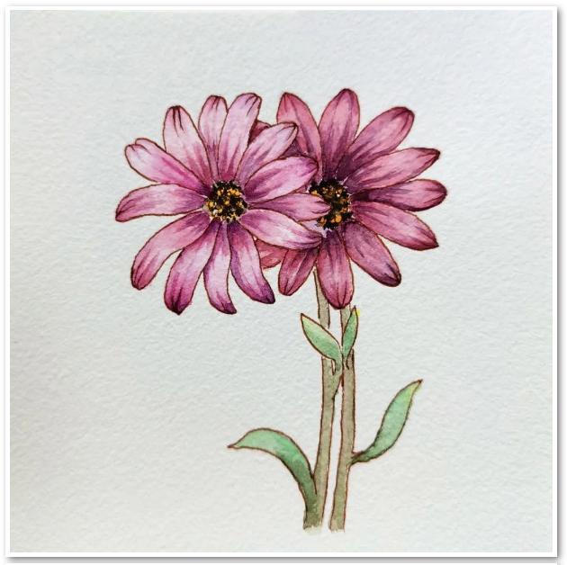 深圳美术培训_深圳学画画_深圳画室 (14).jpg 深圳美术培训