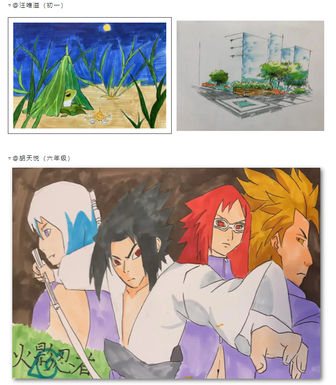 学员美术作品分享