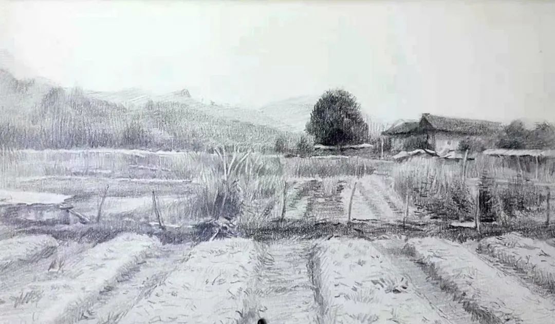 深圳学素描